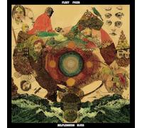 Fleet Foxes Helplessness Blues (Vinyl) (Importación USA)