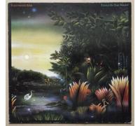 Fleetwood Mac - Tango in the night (1987) [Vinyl LP]
