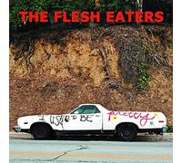 Flesh Eaters - I Used To Be Pretty [Vinilo]