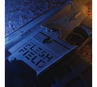 Flesh Field - Voice Of The Echo Chamber