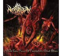 Flesh Gore Pieces of Cannibalistic Ritual Altars