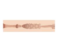 Fleshlight Girls Eva Lovia - Masturbador Con Diseño Exclusivo Para Placer Íntimo