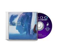 Fleshwater - 2000: In Search Of The Endless Sky