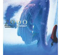 Fleshwater - 2000: In Search Of The Endless Sky