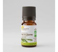 Aceite Esencial Pino Silvestre Bio 10 ml