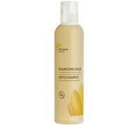 Shampooing Doux A L'Hamamelis Bio 200Ml