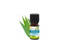 Fleurance Nature Complexe Pour Diffusion Respiration 10ml
