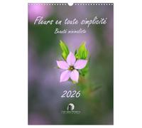 Fleurs en toute simplicité - Beauté minimaliste (Calendrier mural 2026 DIN A3 horizontal), CALVENDO calendrier mensuel: Un calendrier délicat et ... pour douze mois de beauté minimaliste.