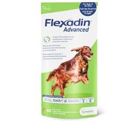 Flexadin Advanced Condroprotector Perro Articulación Colágeno II 60 Chews | Colágeno tipo II no desnaturalizado, boswellia, ácidos grasos y vitamina E para la salud articular, ayuda a la movilidad