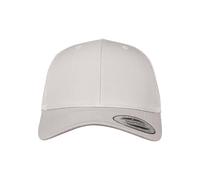 Flexfit 6606-RetroTrucker Gorra de béisbol Unisex adulto, Plateado (silver), Talla única
