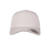 Flexfit 6606-RetroTrucker Gorra de béisbol Unisex adulto, Plateado (silver), Talla única