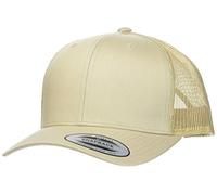 Gorra Flexfit retro TU