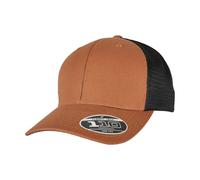 Flexfit Gorra 110 de Lona para Adultos Unisex (RW8905)