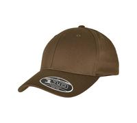 Flexfit Gorra Ajustable 110 (RW9046)
