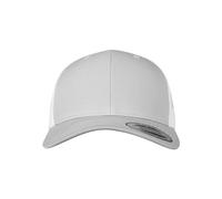 Flexfit Gorra de béisbol Unisex Opaca, Plateado/Blanco, Talla única