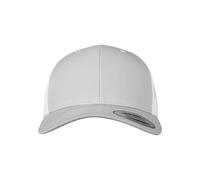 Flexfit Gorra de béisbol Unisex Opaca, Plateado/Blanco, Talla única
