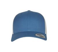 Flexfit Camión Retro de 2 Tonos Gorra de béisbol, Azul y Plateado, Talla única Unisex Adulto
