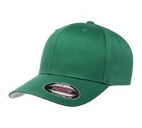 Flexfit Gorra de Lana Cepillada para Niños/Niñas (PC2104) UTPC2104_14