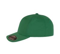 Flexfit Gorra de Poliéster Reciclado (PC5013) UTPC5013_19