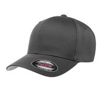 Flexfit Gorra diseño cepillado (PC3705) UTPC3705_14