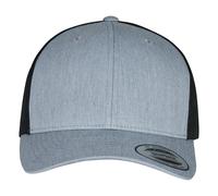Flexfit Gorra Diseño Retro (BC6924)