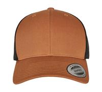 Flexfit Gorra Diseño Retro (BC6924)