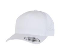 Flexfit Gorra para Adultos Unisex (RW10859)