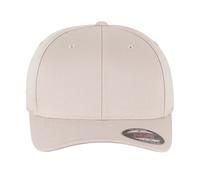 Flexfit Gorra (PC4802) UTPC4802_8