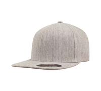 Flexfit Gorra (PC7179)
