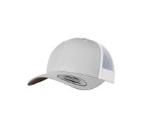 Flexfit Gorra plata / blanco 55-60 EUR
