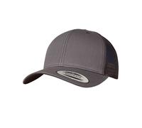 Flexfit Gorra Trucker Retro 6 Panel Peak Mesh Back, Sombrero Baseball