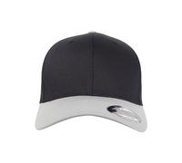 Flexfit Wooly Combed 2-Tone Gorra, Negro y Plateado, L/XL Unisex Adulto