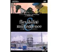 Flexibilité et multivalence. Le cas de l'usine Prayon [DVD]
