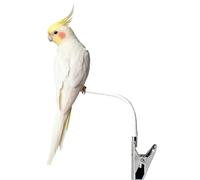 Flexible Bird Perch Stand, Desktop Parrot, Adjustable Natural Wood Branch Holder with Stable Base, Interactive Pet Training, Cage Style Resting Rack, Small Parrots Finch Use