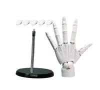 Flexible Hand Model, Compact Fully Moveable Juntas Figure, Adorable Adjustable Artist Manikin Hand Figure for Detailed Drawing, Sketching, Painting and Creative Display