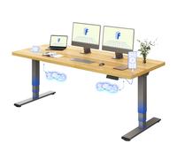 FLEXISPOT E5 Plus Escritorio Elevable 160x80, Doble Motor, USB | Tablero entero 25 mm, Patas 3 etapas, 120kg Capacidad, Anticolisión, 4 memorias, USB 45 W, Garantía 5 Años, Arce