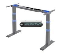 FLEXISPOT E6 Carga 160KG+Doble Motor Escritorio Elevable Eléctrico, Regulable en Altura, Recordatorio de Sedentariedad, Marco de Pie Mesa Regulable Altura Eléctrico, Gris