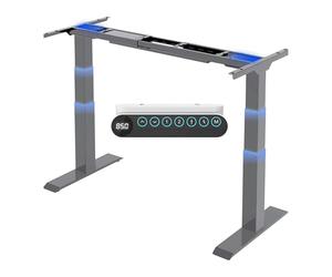 FLEXISPOT E6 Carga 160KG+Doble Motor Escritorio Elevable Eléctrico, Regulable en Altura, Recordatorio de Sedentariedad, Marco de Pie Mesa Regulable Altura Eléctrico, Gris