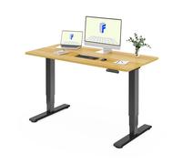 FLEXISPOT EC5 Lite Escritorio Elevable Eléctrico 160 × 80 CM con 2 Motores y 3 Etapas Mesa Elevable en Altura con 4 Funciones de Memoria Standing Desk, 25 MM de Grosor de la Mesa, 60-125CM