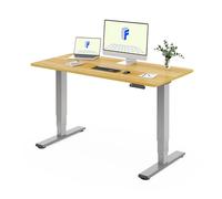 FLEXISPOT EC5 Lite Escritorio Elevable Eléctrico 160 × 80 CM con 2 Motores y 3 Etapas Mesa Elevable en Altura con 4 Funciones de Memoria Standing Desk, 25 MM de Grosor de la Mesa, 60-125CM