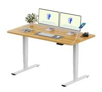 FLEXISPOT EC5 Plus Escritorio Elevable Eléctrico con Doble Motor, Puerto USB, con un Tablero Entero y 3 Columnas, 120 KG de Carga, 4 Memorias, Mesa elevable para Trabajar y Hogar 120 x 80cm, Arce