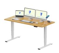 FLEXISPOT EC5 Plus Escritorio Elevable Eléctrico con Doble Motor, Puerto USB, con un Tablero Entero y 3 Columnas, 120 KG de Carga, 4 Memorias, Mesa elevable para Trabajar y Hogar 140 x 80cm, Arce