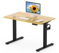 FLEXISPOT EN1 MAX 120x80cm Escritorio Elevable Eléctrico con Tablero Entero Mesa de Elevable, Standing Desk, Mesa Elevable Escritorio con 2 Ganchos y 4 Funciones de Memoria