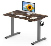 FLEXISPOT EN1 MAX 120x80cm Escritorio Elevable Eléctrico con Tablero Entero Mesa de Elevable, Standing Desk, Mesa Elevable Escritorio con 2 Ganchos y 4 Funciones de Memoria