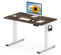 FLEXISPOT EN1 MAX 120x80cm Escritorio Elevable Eléctrico con Tablero Entero Mesa de Elevable, Standing Desk, Mesa Elevable Escritorio con 2 Ganchos y 4 Funciones de Memoria