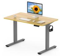 FLEXISPOT EN1 MAX 120x80cm Escritorio Elevable Eléctrico con Tablero Entero Mesa de Elevable, Standing Desk, Mesa Elevable Escritorio con 2 Ganchos y 4 Funciones de Memoria