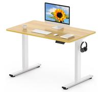FLEXISPOT EN1 MAX 120x80cm Escritorio Elevable Eléctrico con Tablero Entero Mesa de Elevable, Standing Desk, Mesa Elevable Escritorio con 2 Ganchos y 4 Funciones de Memoria