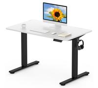 FLEXISPOT EN1 MAX 120x80cm Escritorio Elevable Eléctrico con Tablero Entero Mesa de Elevable, Standing Desk, Mesa Elevable Escritorio con 2 Ganchos y 4 Funciones de Memoria