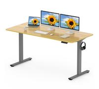 FLEXISPOT EN1 MAX 160x80cm Escritorio Elevable Eléctrico con Tablero Entero Mesa de Elevable, Standing Desk, Mesa Elevable Escritorio con 2 Ganchos y 4 Funciones de Memoria