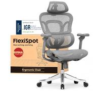 FLEXISPOT ErgoX MAX Silla Ergonomica Escritorio hasta 300 kg, Silla Escritorio con Reposacabezas 4D, Reposabrazos 5D, Respaldo y Soporte Lumbar de una Pieza, Silla de Oficina y Gaming, Negro